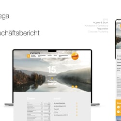 Entega – Online Geschäftsbericht