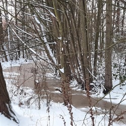 Winter in Bremen