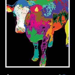 BUNTE MILCH – BUNTE KUH