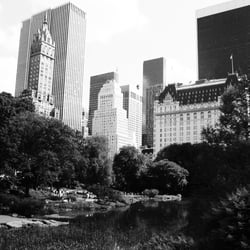 New York 09