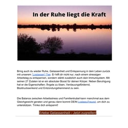 1000tees – Newsletter 2 – Teil 2