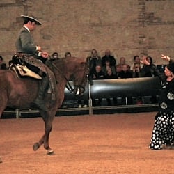 Flamenco, Cordoba
