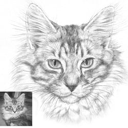 Graphit