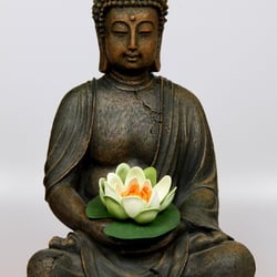 DPP 0002