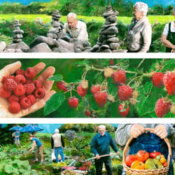 ProAlter „Green Care“ / Innenillustrationen