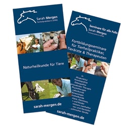 mergen flyer