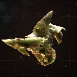 Microscopic Object 02