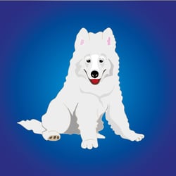 dog1