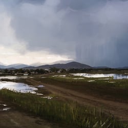The rain