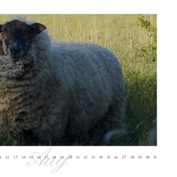 ErsterKüstenkalender