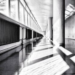 Bauhaus