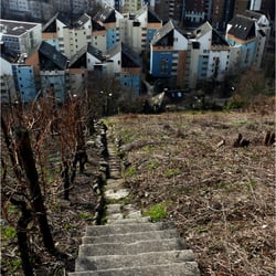 Blick vom Neckarhaldenweg