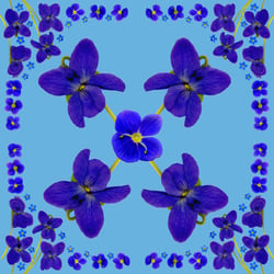 Blütenserviette, Fotomontage aus einzelnen Blüten