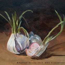 Knoblauch