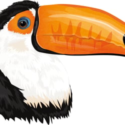 Toucan