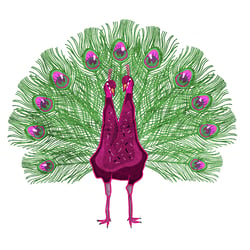 pfau