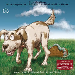 Wirkungsweise Wurmwellis, 3 von 3