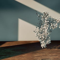 Freie Arbeit, Cinema4D / Photoshop