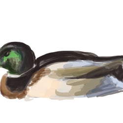 Vogel 2