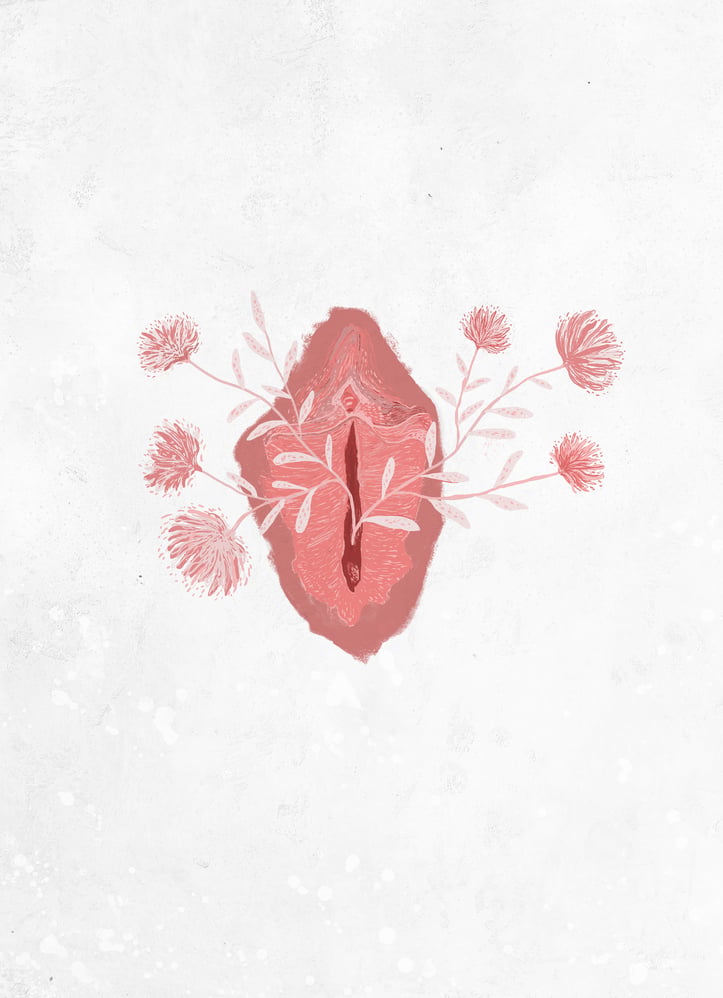 vulva nr 3