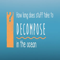 Ocean Waste