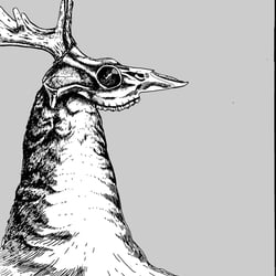 Totenhirsch