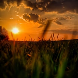 Abendstimmung
