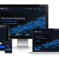 https://b2leads.de – WEB-ENTWICKLUNG