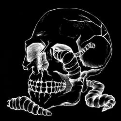 Totenschädel Illustration