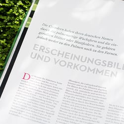 Miriam Jahnel, Wunderblatt