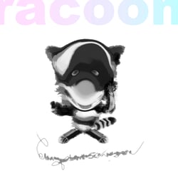 racoon