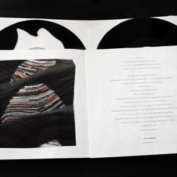 Vinylactite/Vinylagmite: Booklet Innen