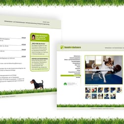 Hunde in Balance: Therapie und Massage für den Hund (www.hunde-in-balance.de)