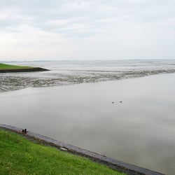 Wattenmeer