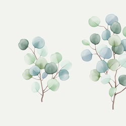 suzana-mujakovic-eucalyptus-watercolour-illustration