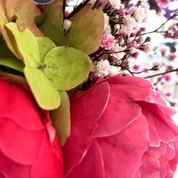 Flower Power / 2022