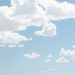 20110505 Portfolio 033