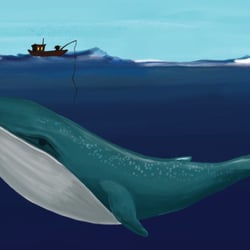 Blauwal