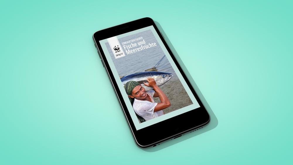 Native iOS und Android App