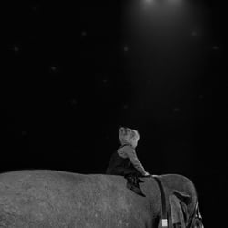 girl+elefant