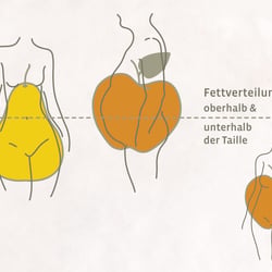 Fastencoach Illustration Apfel- und Birnenform