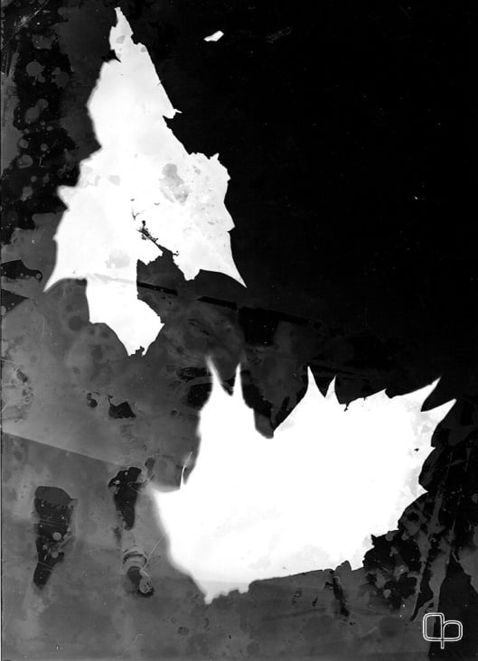 PHOTOGRAMS VIII