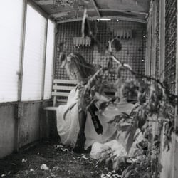 DocImage000000077