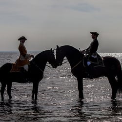 Tierfotografie