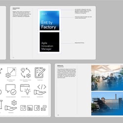 Entity Factory – Manual Guide