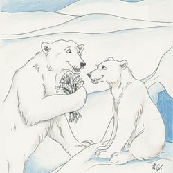 Eisbaeren