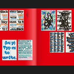 Support Independent Type II