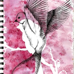 DAY 20
