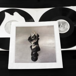 Vinylactite/Vinylagmite: Booklet