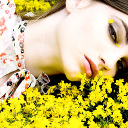 Ginouse Photography